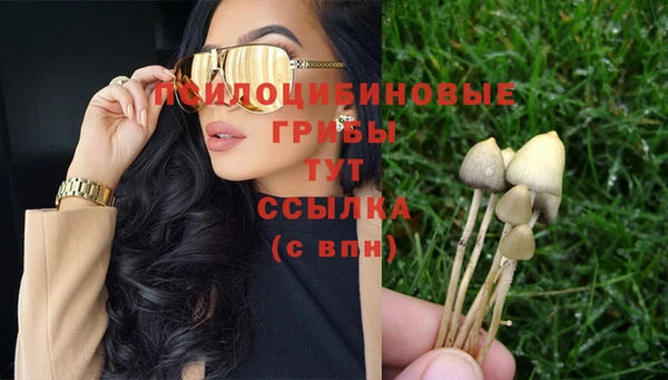 крисы Аркадак