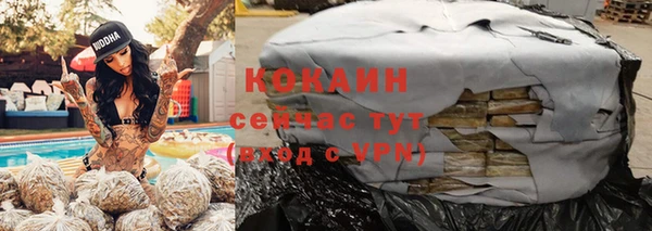 крисы Аркадак