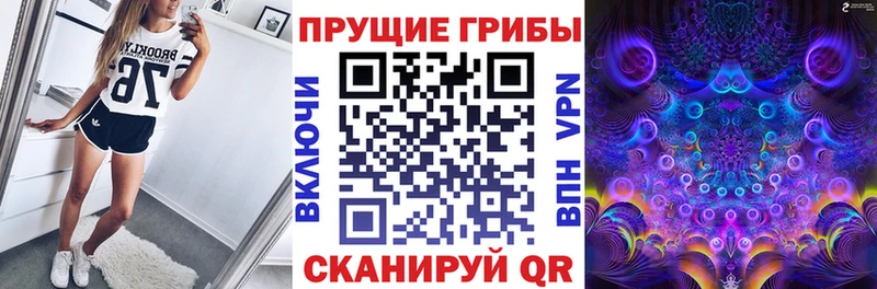 OMG ТОР  Канаш  Псилоцибиновые грибы MAGIC MUSHROOMS 