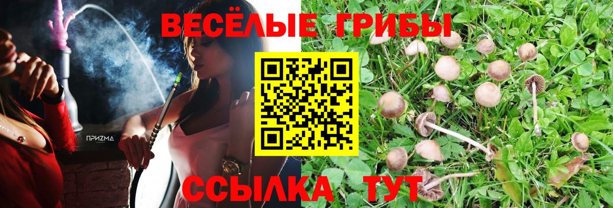 Галлюциногенные грибы Psilocybine cubensis Канаш