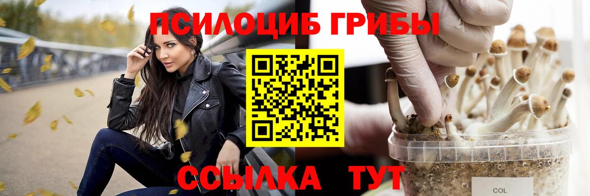 Псилоцибиновые грибы мицелий  Вход с VPN  Канаш 