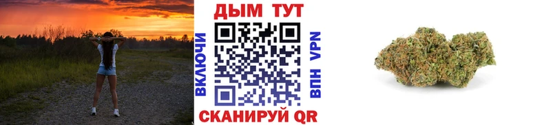 OMG tor  Канаш  Бошки Шишки тримм 
